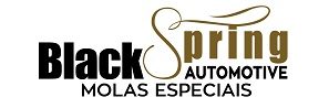 Black Spring Automotive